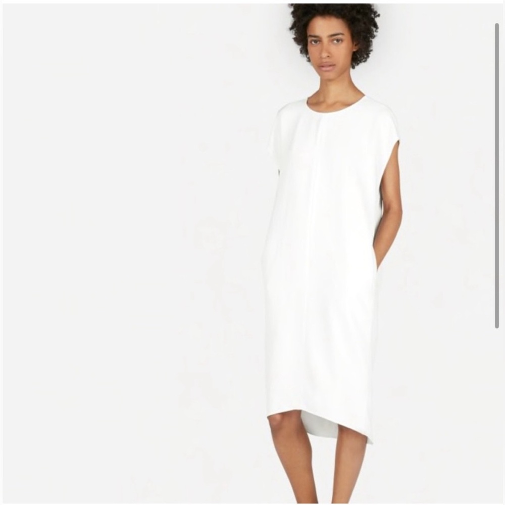 Everlane Japanese GoWeave Cocoon Dress